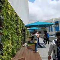 特別到海港城，欣賞三個特別展覽 ！