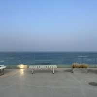 강원도 푸른바다뷰 감상하기 좋은 카페🌊