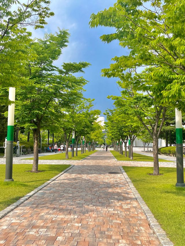 수원 만석공원 피크닉💛