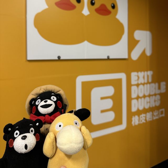 Yellow Ducks are back to Hong Kong 🐤🐤