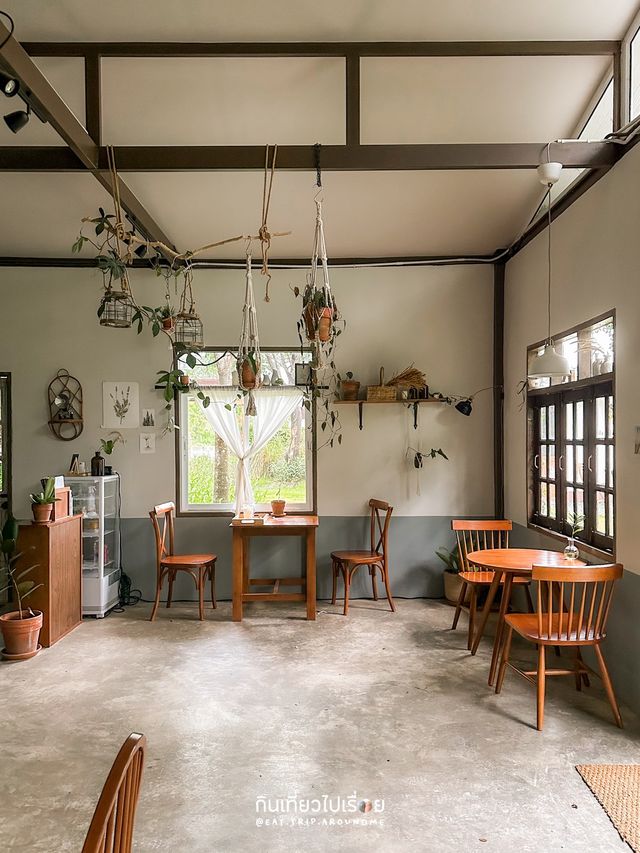 Sukito - สุขิโต 🌳🌿🪴คาเฟ่ไม่ไกลจากตัวเมืองระยอง