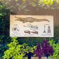 見所たくさん♪熱川バナナワニ園🐊