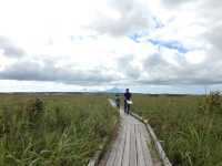 北海道　北海道観光　北海道らしい風景　サロベツ原生花園で和む！