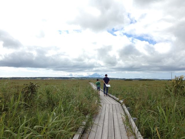 北海道　北海道観光　北海道らしい風景　サロベツ原生花園で和む！