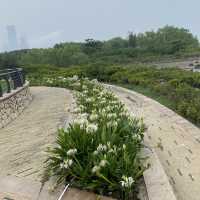 【城市中的巨大綠洲：深圳灣公園】