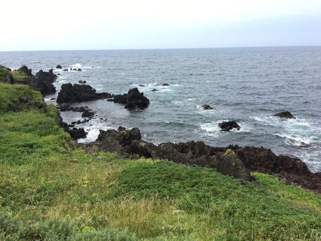 北海道　北海道観光　利尻島の絶対外せない観光スポット 仙法志御崎公園でアザラシに会ってきた！