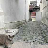 Friendly Ba Cheng Street in China