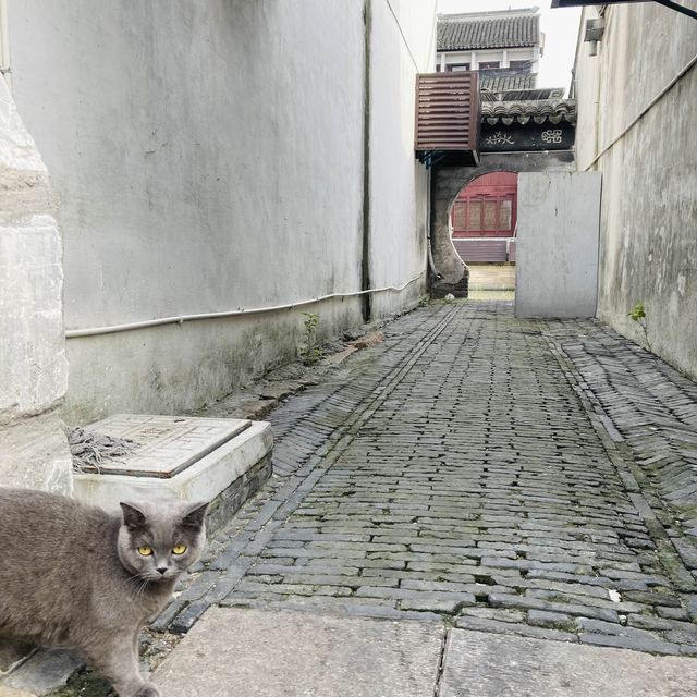Friendly Ba Cheng Street in China