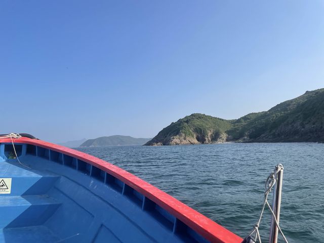 🌟小丑魚天堂🪸｜娥媚洲浮潛之旅🤿