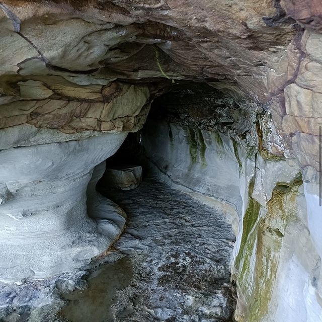 Hidden Gem in Manly 
