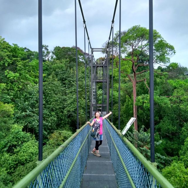 星加坡另類體驗🌲麥裏芝自然步道