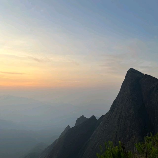 Sunrise at world's highest tea plantation 🌅