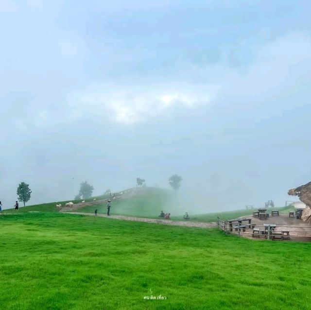 Akha Framville🐑🌳🍃