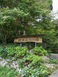 【佐賀県/唐津市】まるで京都なリフレクションの美しい庭園