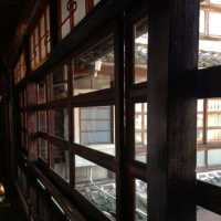 熊本熊陪浸日奈久溫泉