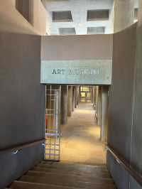 ASU Art Museum ✍🏼✨