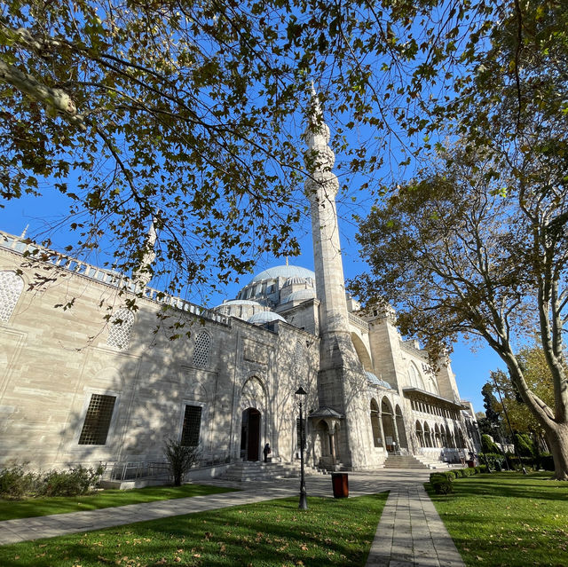Suleymaniye's Fall Grace: Awe Inspiring