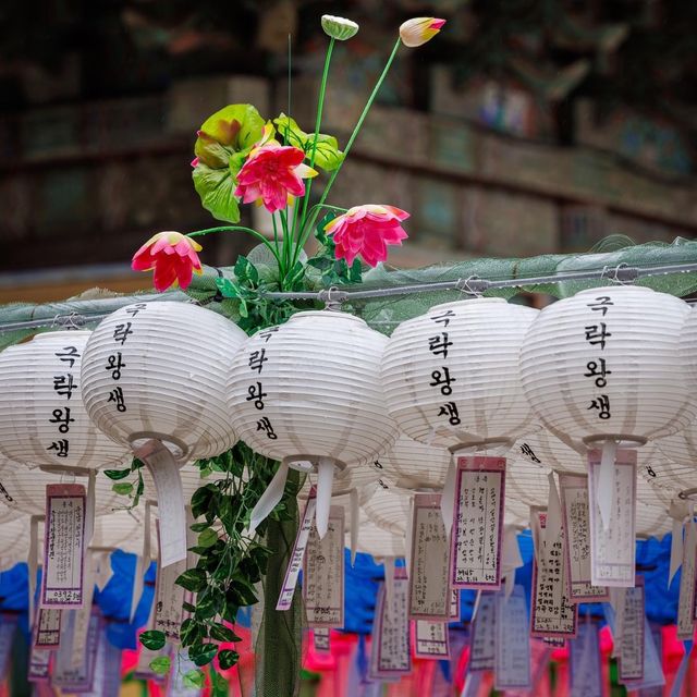 Beautiful Bulguksa Temple is Gyeongju