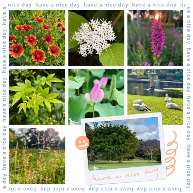 🌿🌺 悉尼皇家植物園～花香四溢的自然寶藏！🌿🌺🌼