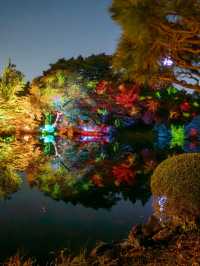 【東京都/新宿】12日間限定の夜を彩る新宿御苑