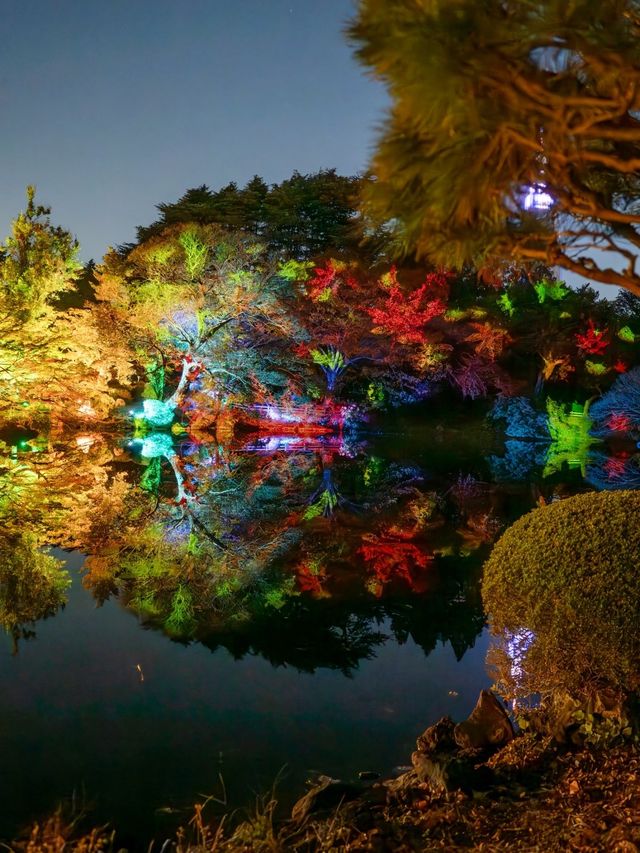 【東京都/新宿】12日間限定の夜を彩る新宿御苑