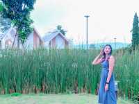 เที่ยวเขาใหญ่ พักกันที่ Nay Joe Resort Khao Yai 