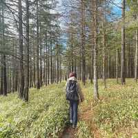 初心者おすすめ登山スポット【霧ヶ峰編】