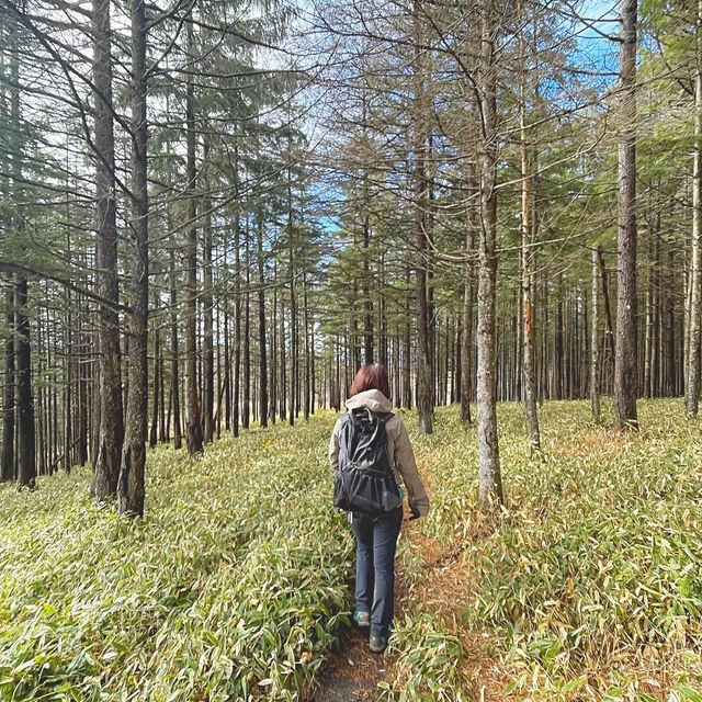 初心者おすすめ登山スポット【霧ヶ峰編】