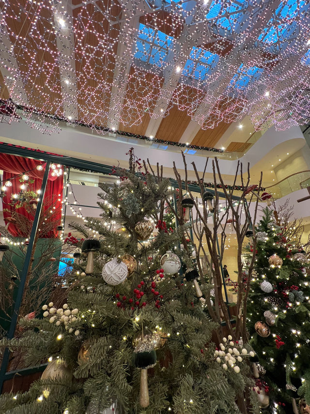 太古廣場😝全港最令聖誕🎄打卡位😳夢幻森林