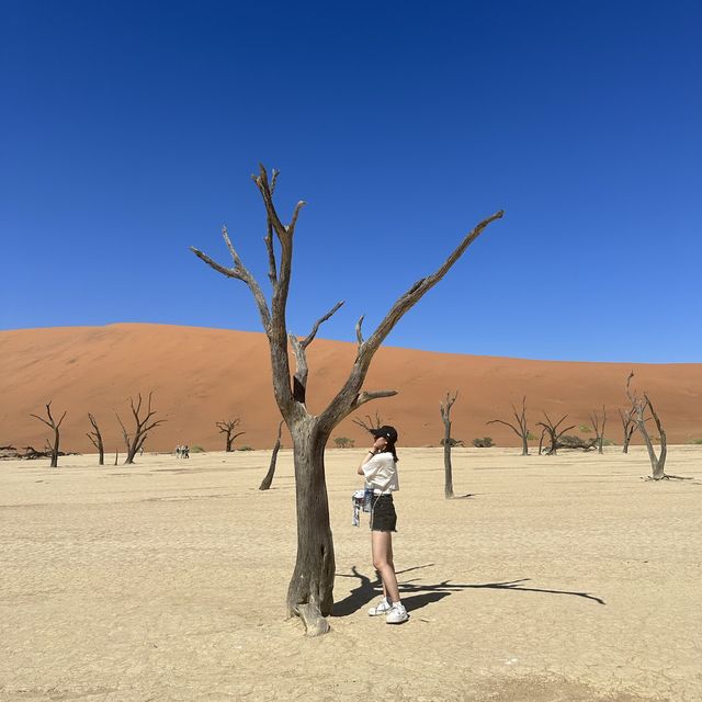 【ナミビア】感動のデッドフレイ！🇳🇦