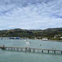 Day trip to Akaroa from Christchurch