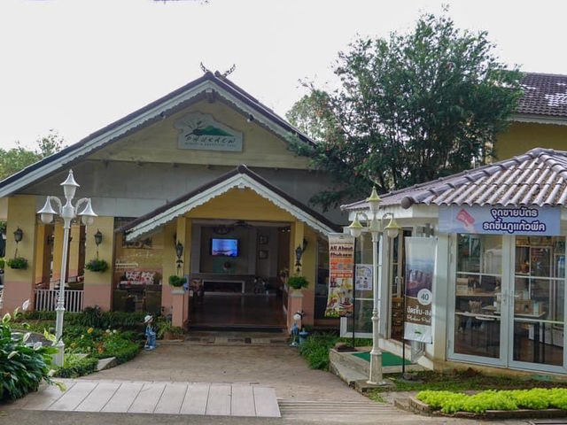 ภูแก้วพีค : Phukaew Peak 🍵☕️