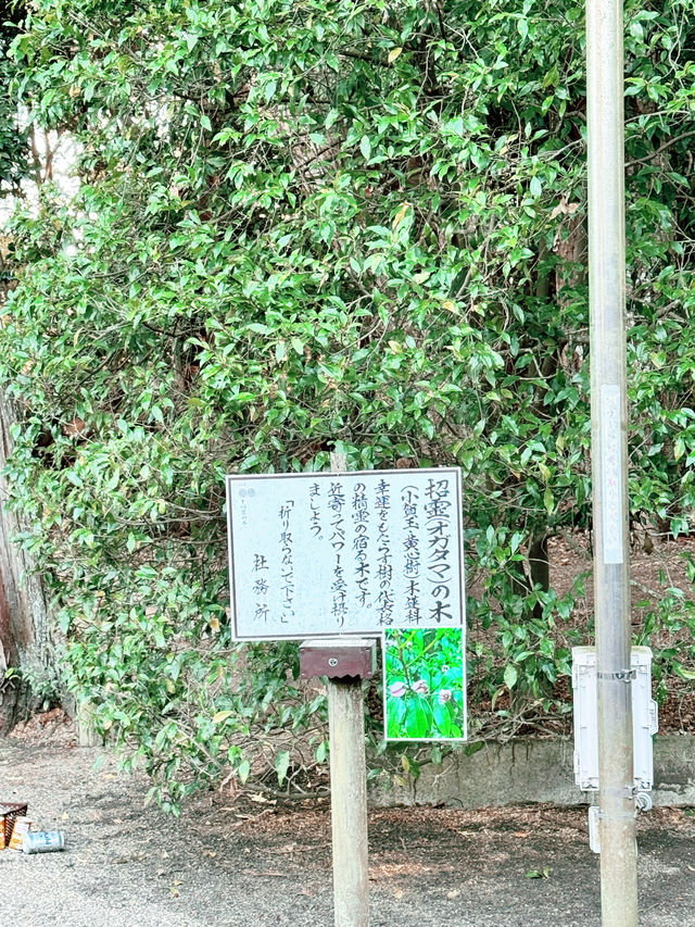 2024年初詣⛩🐉🎍