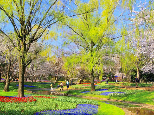 Showa Kinen (Memorial) Park