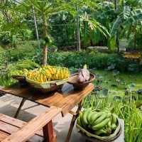 Bangkrang Eco Club - Brunchand Garden Bathing