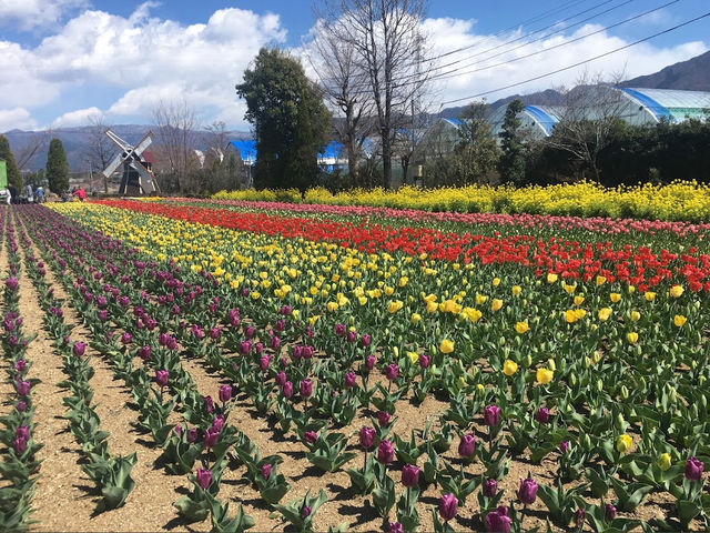 Herb garden travel diary