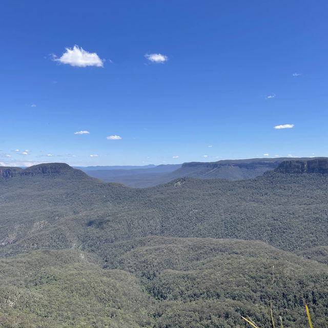 【シドニー観光】必ず抑えたいスポット「ブルーマウンテンズ」🇦🇺 【シドニー観光】必ず抑えたいスポット「ブルーマウンテンズ」🇦🇺