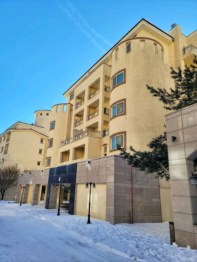눈뜨면 설경을 볼 수 있는 태백 호텔❄️