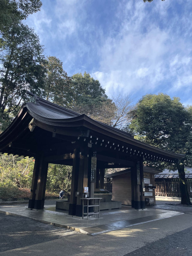 【東京都】一度は参拝してほしい日本一の初詣参拝者数を誇る明治神宮