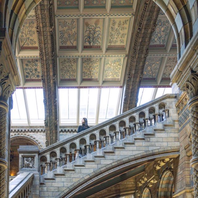 【イギリス】ナイトミュージアムの世界！自然史博物館