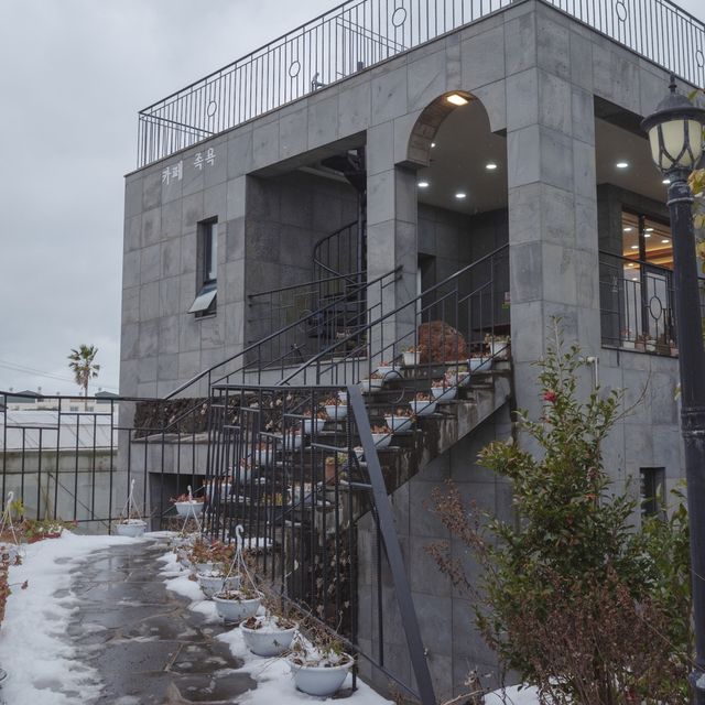 제주 겨울 숲의 진수 제주 겨울 숲의 진수