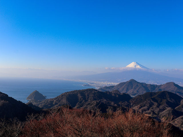 【静岡県】 空と青が織りなす伊豆の展望地『碧テラス』