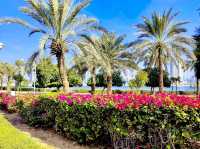 Al Twar Park 1