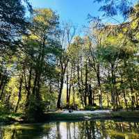 【臺北景點】陽明山國家公園：清新山區疲憊時放鬆