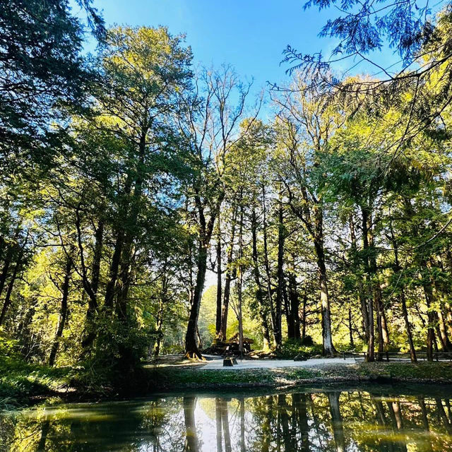 【臺北景點】陽明山國家公園：清新山區疲憊時放鬆