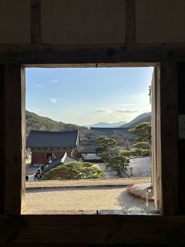 봄에는 고즈넉함을 느끼러 구례 화엄사로🩵
