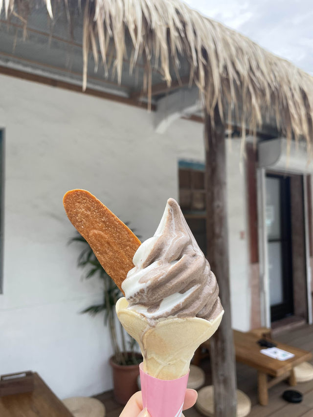 台灣宜蘭/頭城 海製商行🍦