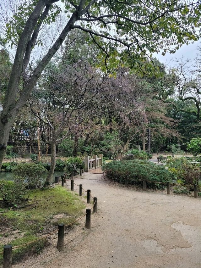 도심에 일본전통 정원풍경을 즐길 수 있는 다도카페🍵