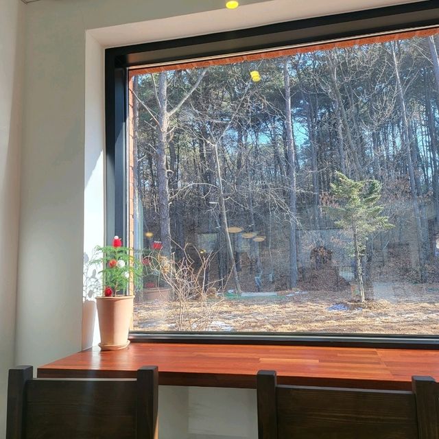 애견동반이 가능한 파주 신상 브런치 카페  ' 노어스(NOUS) ' ⭐️