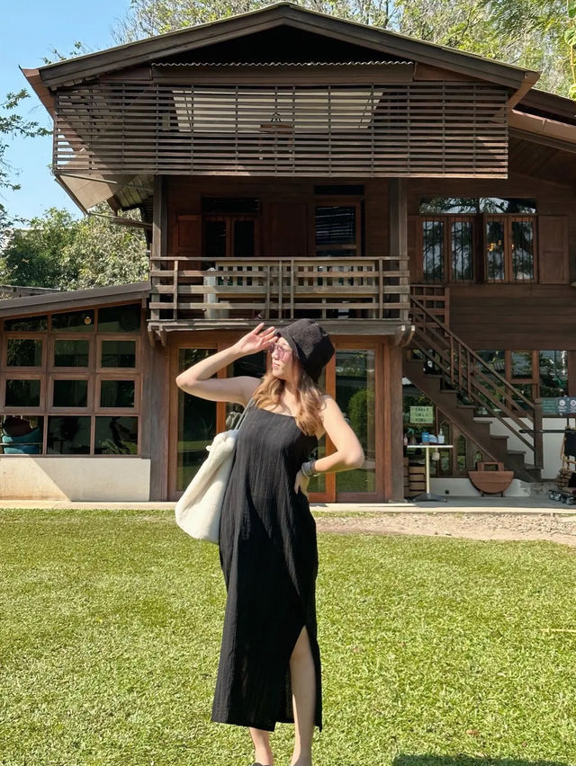 จุดเช็คอินเชียงใหม่ คาเฟ่แนวธรรมชาติ | บรรยากาศดี